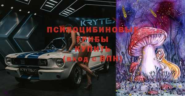 прущие грибы Алексеевка
