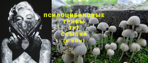 амф Алексин