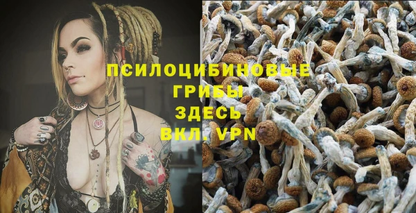 прущие грибы Алексеевка