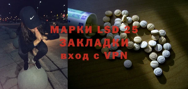 ГАЛЛЮЦИНОГЕННЫЕ ГРИБЫ Алзамай